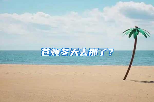 蒼蠅冬天去那了？