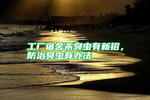 工廠宿舍殺臭蟲有新招，防治臭蟲有辦法