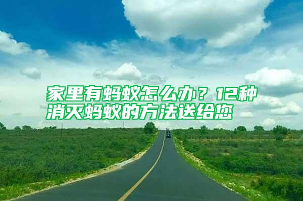 家里有螞蟻怎么辦？12種消滅螞蟻的方法送給您