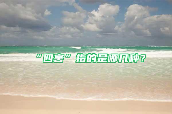 “四害”指的是哪幾種？