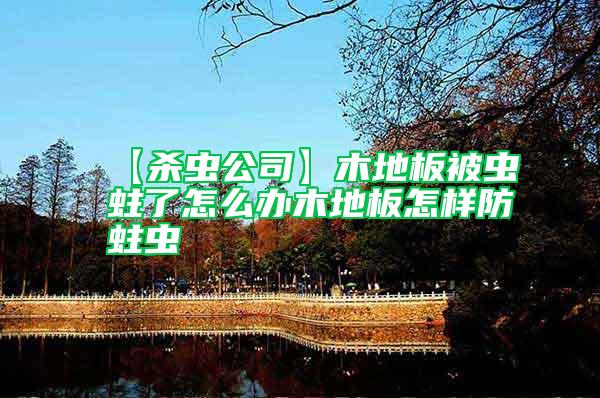 【殺蟲公司】木地板被蟲蛀了怎么辦木地板怎樣防蛀蟲