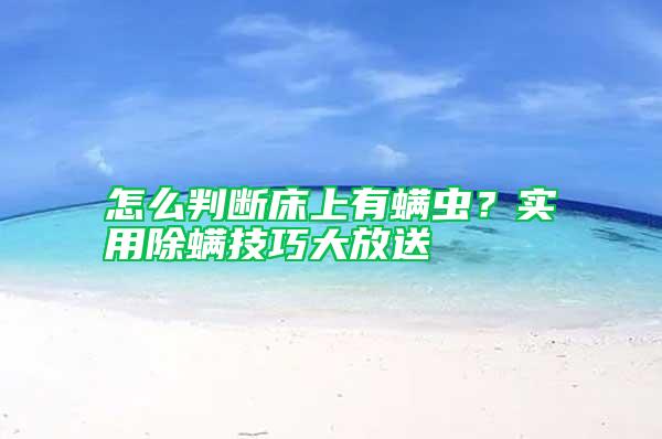怎么判斷床上有螨蟲？實用除螨技巧大放送