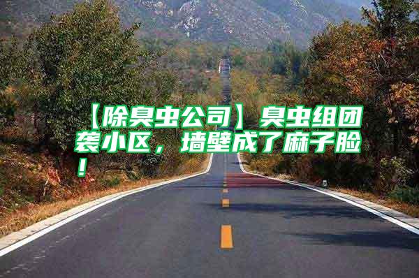 【除臭蟲公司】臭蟲組團(tuán)襲小區(qū),墻壁成了麻子臉!