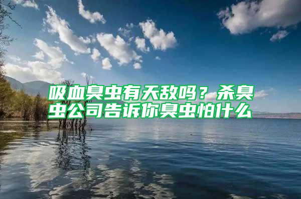吸血臭蟲(chóng)有天敵嗎？殺臭蟲(chóng)公司告訴你臭蟲(chóng)怕什么