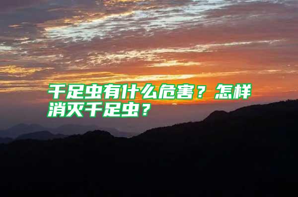 千足蟲有什么危害？怎樣消滅千足蟲？