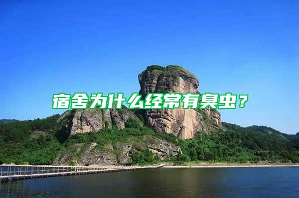 宿舍為什么經常有臭蟲？