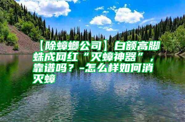【除蟑螂公司】白額高腳蛛成網(wǎng)紅“滅蟑神器”,靠譜嗎?-怎么樣如何消滅蟑
