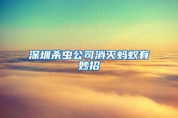 深圳殺蟲(chóng)公司消滅螞蟻有妙招