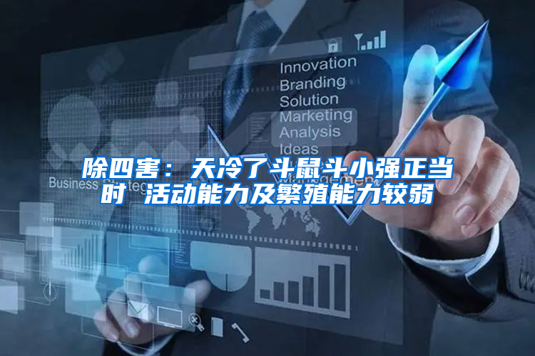 除四害：天冷了斗鼠斗小強正當時 活動能力及繁殖能力較弱