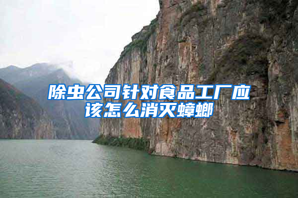 除蟲公司針對食品工廠應該怎么消滅蟑螂