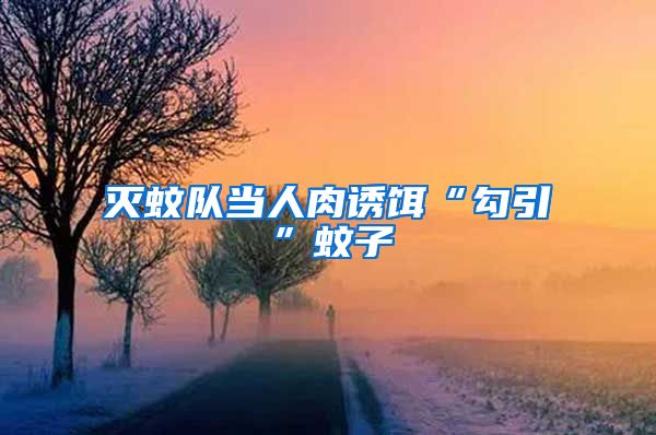 滅蚊隊當人肉誘餌“勾引”蚊子