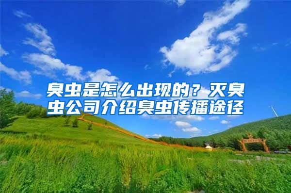 臭蟲(chóng)是怎么出現(xiàn)的？滅臭蟲(chóng)公司介紹臭蟲(chóng)傳播途徑